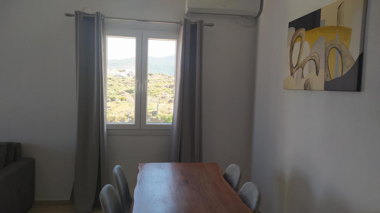 Πλατανακι 2 Seaview Apartment อานดรอส ภายนอก รูปภาพ